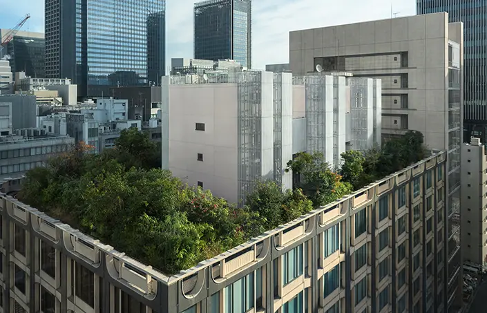 八重洲ダイビル建替計画