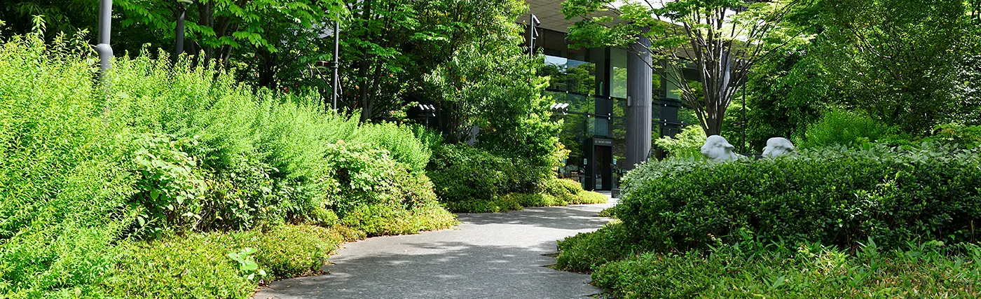 Green financing